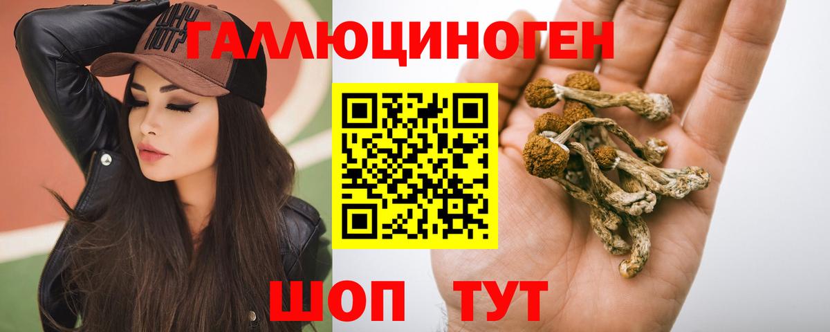Псилоцибиновые грибы Psilocybe  Вход с VPN  Галлюциногенные грибы Magic Shrooms  Бузулук 