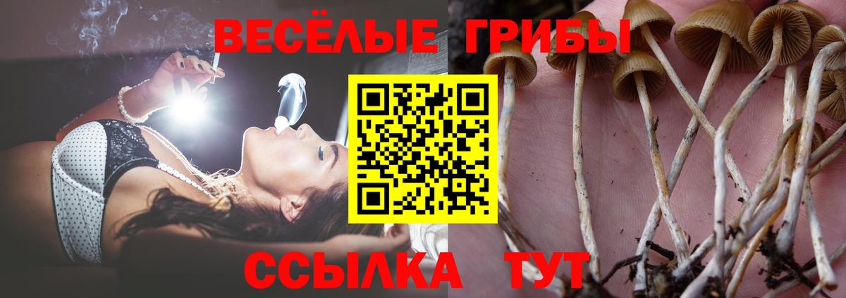 Галлюциногенные грибы MAGIC MUSHROOMS Бузулук